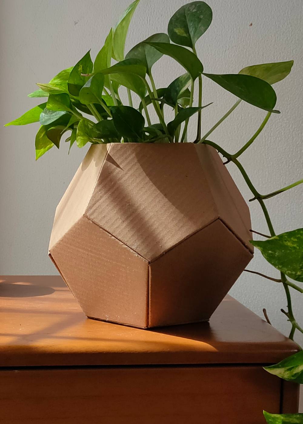 Vas indoor berbentuk dedocahedron dari kardus