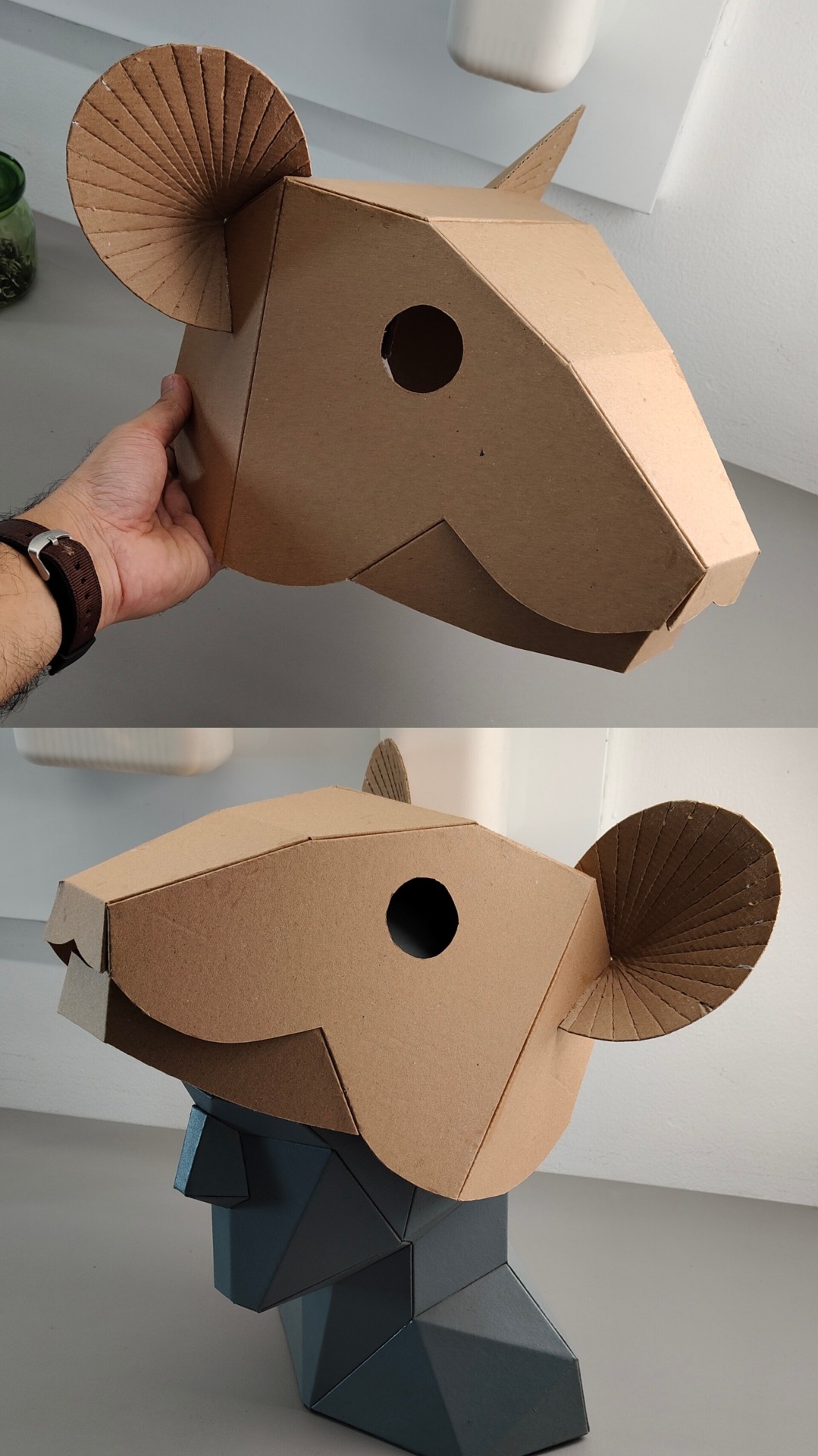 Topi kepala tikus dari kardus